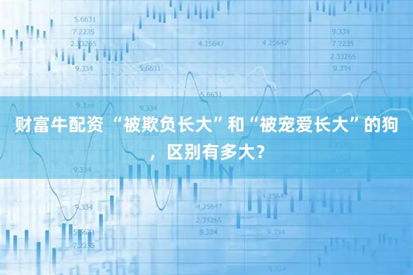 财富牛配资 “被欺负长大”和“被宠爱长大”的狗，区别有多大？