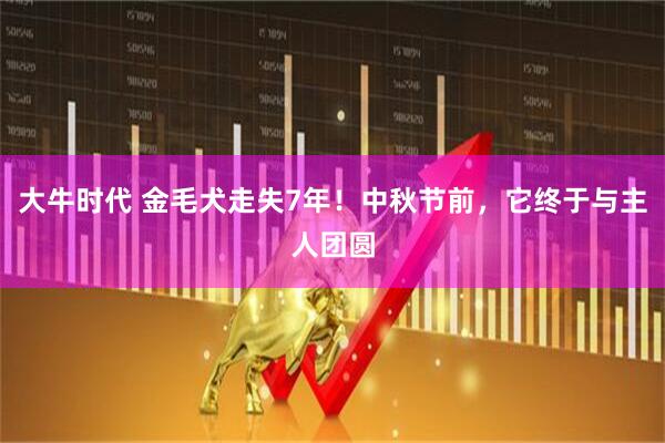 大牛时代 金毛犬走失7年！中秋节前，它终于与主人团圆