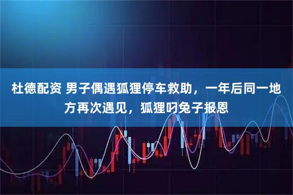 杜德配资 男子偶遇狐狸停车救助，一年后同一地方再次遇见，狐狸叼兔子报恩