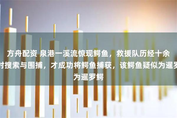 方舟配资 泉港一溪流惊现鳄鱼,救援队历经十余小时搜索与围捕,才成功将鳄鱼捕获,该鳄鱼疑似为暹罗鳄