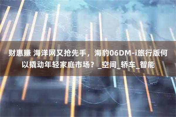 财惠赚 海洋网又抢先手，海豹06DM-i旅行版何以撬动年轻家庭市场？_空间_轿车_智能