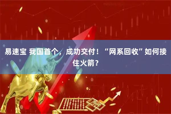 易速宝 我国首个，成功交付！“网系回收”如何接住火箭？